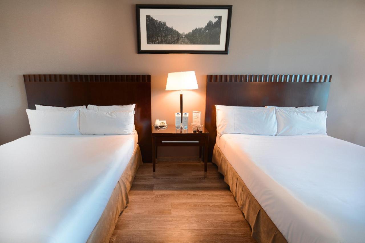 外交酒店 门多萨 外观 照片 A room at the hotel
